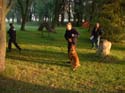 DSCF0003