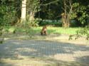 DSCF0082